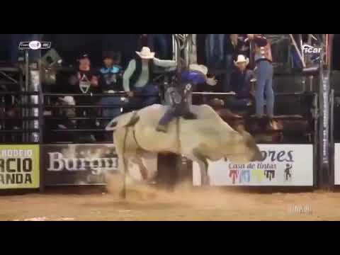 Rodeio de Ficar Assis 2019