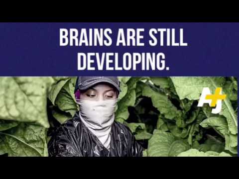 Child Labor Project: Zarina Dranchak