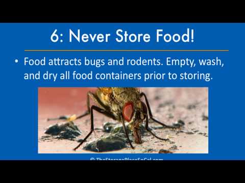 download lagu mp3 mp4 How To Keep Bugs Out Of Storage Boxes, download lagu How To Keep Bugs Out Of Storage Boxes gratis, unduh video klip How To Keep Bugs Out Of Storage Boxes