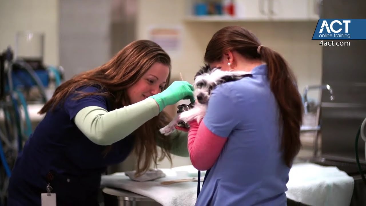 The Importance of a Certified Veterinary Assistant (CVA) Featuring Dr. Bernadine Cruz