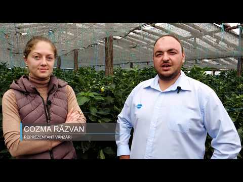 Interviu Roxana Barbieru Delfan Plus Chemark Rom