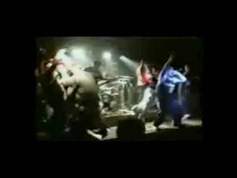 Veritasaga - Wall of death