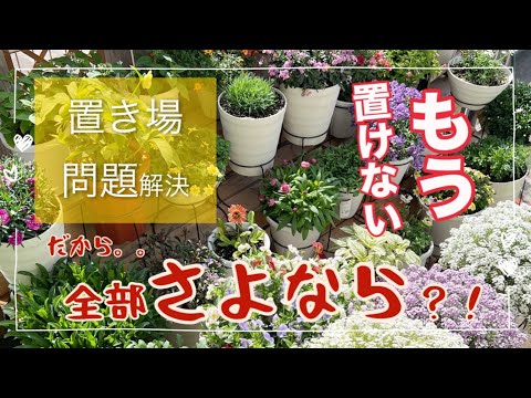 園芸 巣の要素