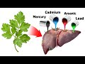 The Best Strategy For Detoxifying Heavy Metals SAFELY
