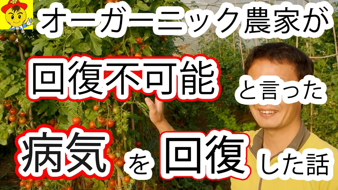 トマトが難病克服!連作と自家採種の力