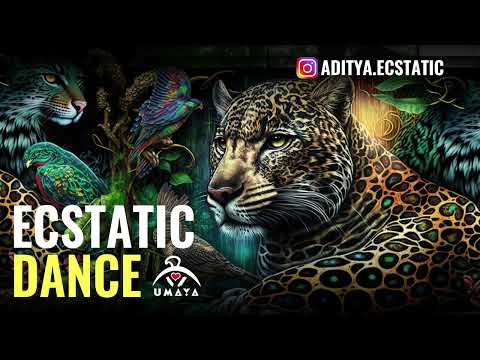 Shamanic Ecstatic Dance! - Dj Aditya | Hasselt, Belgium