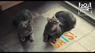 Mistress America | Now on Digital HD | FOX Home Entertainment