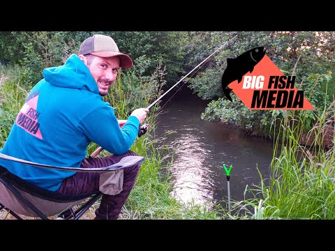 Einfach auf Aal | Angeln am Bach