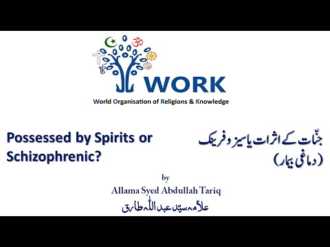 Possessed by Spirits or Schizophrenic? Friday Sermon 22. 04. 2016
