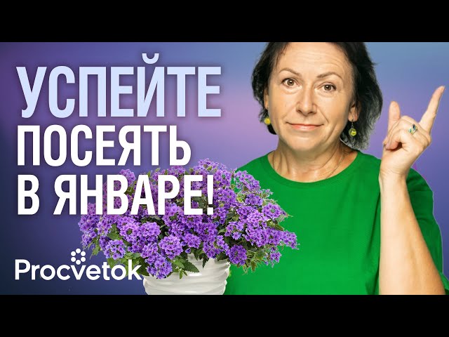 ПОСЕЙТЕ ЭТО В ЯНВАРЕ! Самые тугодумные культуры: цветы, овощи, ароматные травы