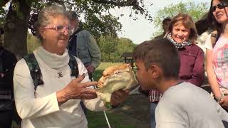 TERMÉSZETVÉDELEM HATÁROK NÉLKÜL - 45. adás