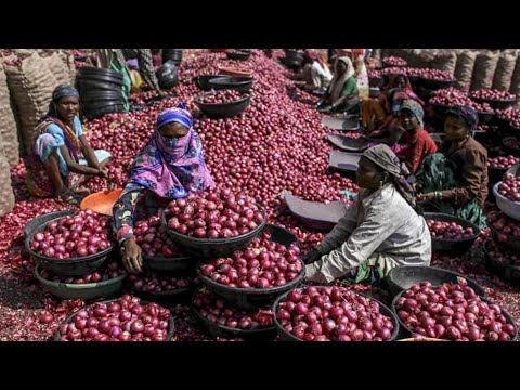 পেঁয়াজের কেজি নেমেছে ৭০ থেকে ৭৫ টাকায় | ETV News