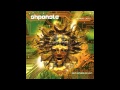Shpongle - Nothing Lasts....But Nothing Is Lost ...