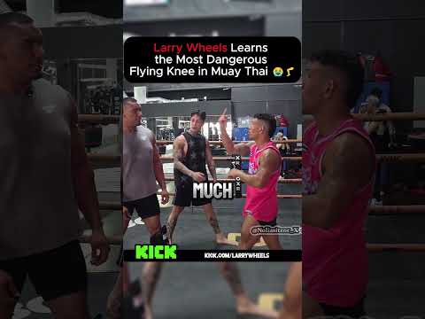 Larry Wheels Learns the Most Dangerous Flying Knee in Muay Thai 😭🦵 #muaythai #mma #fyp #viral