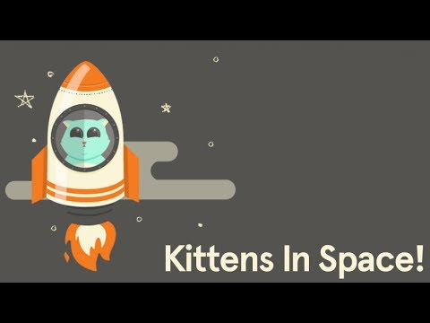 Kittens In Space | From The Album 