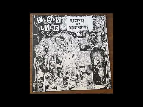 FLEAS AND LICE "Recipes for catastrophes"