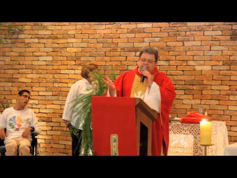 Homilia Pe.Robinson - Domingo de Ramos - 13/04/2014