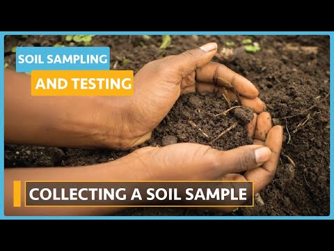 Soil Health and Testing Lesson 6 Soil Sampling Testing