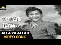 Alibaba 40 Donaglu Songs Alla Ya Alla Video Song NTR Jayalalitha Sri Balaji Video