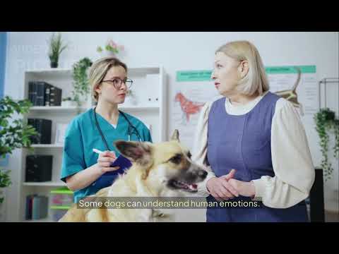 スピーキングトピック4：「アニマルマジック」 (SPEAKING TOPIC 4: “Animal Magic.”)