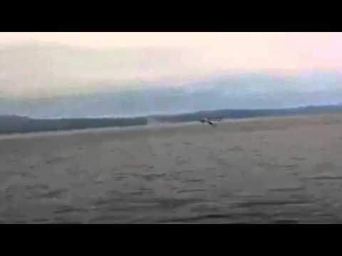 Havørn et sted i MidtNorge, Roger Strømsnes