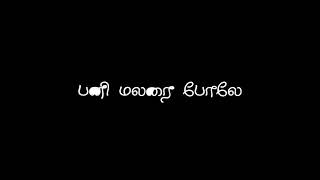 Download lagu மின்னல் ஒரு கோடி💕Minnal Oru Kodi💕Tamil WhatsApp Status💕 Black Screen video love song mp3 Download lagu மின்னல் ஒரு கோடி💕Minnal Oru Kodi💕Tamil WhatsApp Status💕 Black Screen video love song mp3