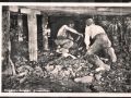 Sixteen Tons - Sechzehn Tonnen - Merle Travis ...