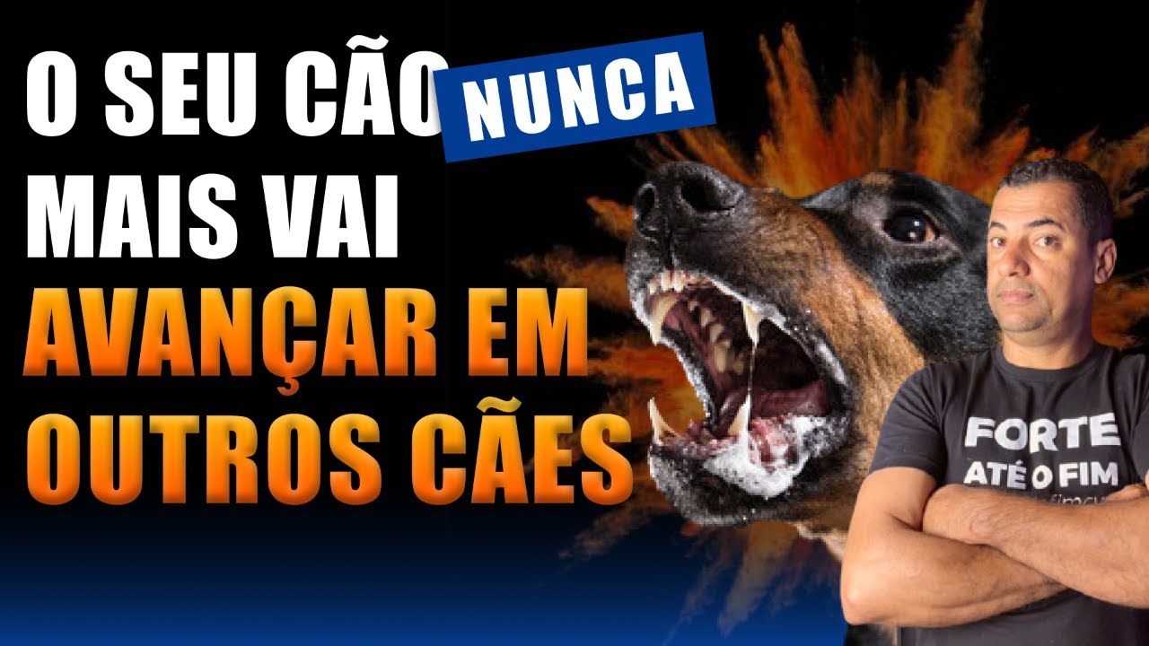 ASSIM SEU CÃO VAI PARAR DE AVANÇAR EM OUTROS ANIMAIS - Se você fizer isso