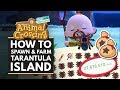 Animal Crossing New Horizons | How to Spawn & Farm TARANTULA Island for Easy Bells