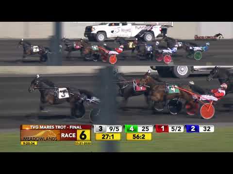 November 21, 2020 - TVG Mares Trot
