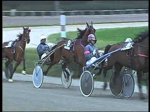 Trotto 14/02/2016 - 4° corsa