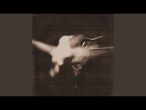 Nothing Left To Give