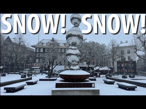 Snow! Snow! Snow! Amsterdam 2026