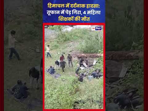 Kullu Ani Accident Tree Fall हादसा 4 शिक्षिकाओं की मौत