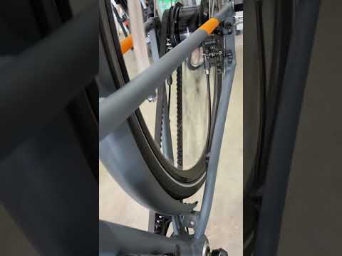 Shimano Alfine 8 - Clicking in Higher Gears (Coasting)