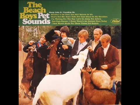 The Beach Boys - Caroline No  (1966)