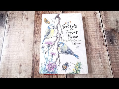 Secrets of a Devon Wood: My Nature Journal - Jo Brown - Book Flip Through - Lazy Sunday Club