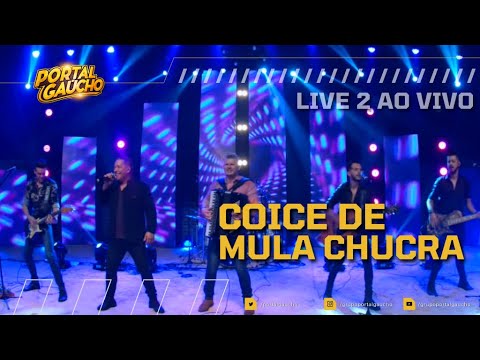 Coice de Mula Chucra - PORTAL GAÚCHO (Ao Vivo Live 2)
