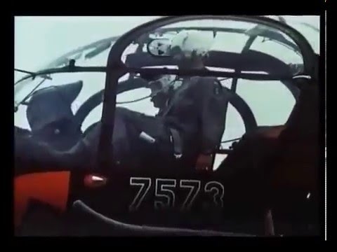 German Army Aviation Heeresfliegertruppe der Bundeswehr