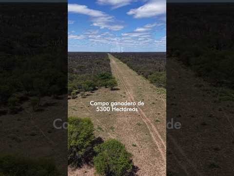 5300has ganaderas a la venta ubicadas en Fortuna, San Luis