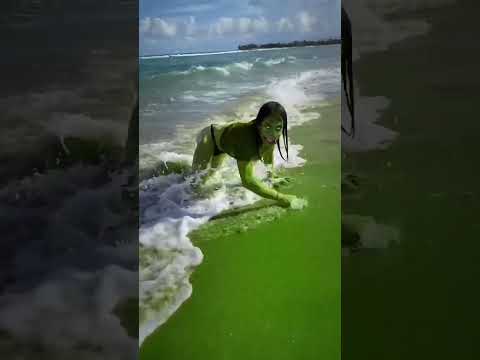 O que é isso kkkkkk🤣🤣🤣 #humor