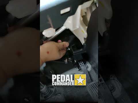 Pedal Commander Julio