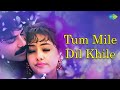 Tu Mile Dil Khile Criminal Kumar Sanu Alka Yagnik Romantic Song