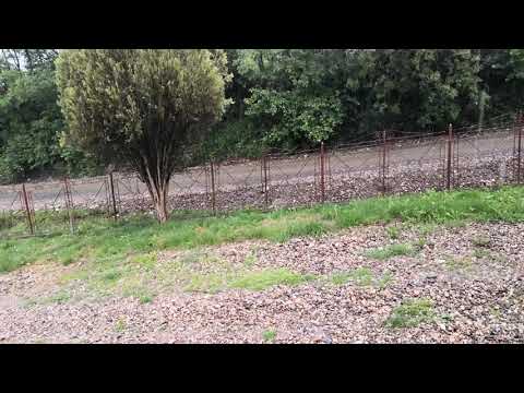 inundati la domnin sj,