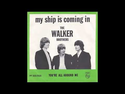 YOU'RE ALL AROUND ME  WALKER BROTHERS (2024 MIX)