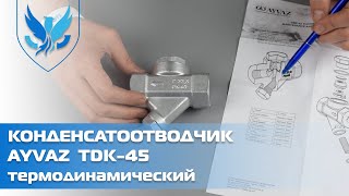 Термодинамический конденсатоотводчик муфтовый Ayvaz TDK-45