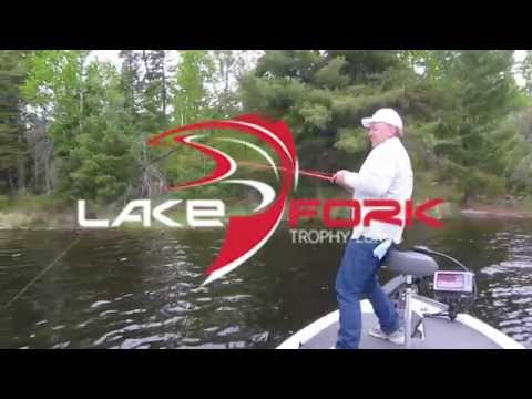 Lake Fork Trophy Magic Shad 9cm 3.5'' Barfish