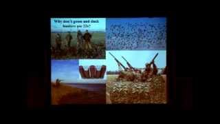 Connecting the Dots: Coastlines, Crescents, the Pacific Flyway, and the Peopling of the Americas