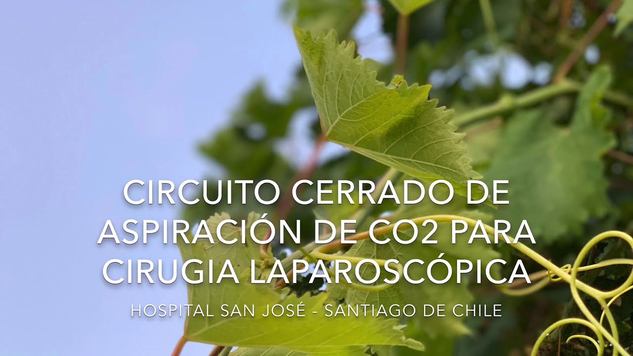 Erick Wendel Magariños Eguez-2