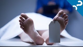5 Gross Things That Happen When You Die | What the Stuff?!